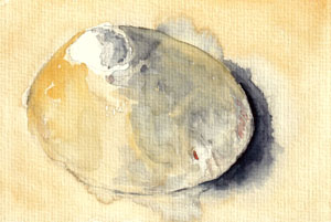 Bretonische Huetchen, 2021, Angela J. A. Kallen